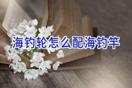 海钓轮怎么配海钓竿