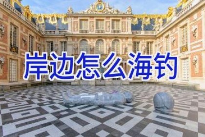 岸边怎么海钓