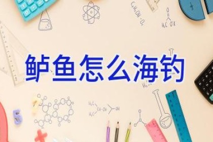 鲈鱼怎么海钓