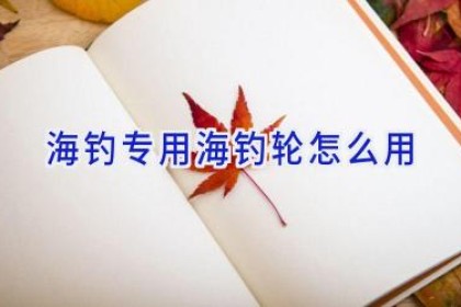 海钓专用海钓轮怎么用