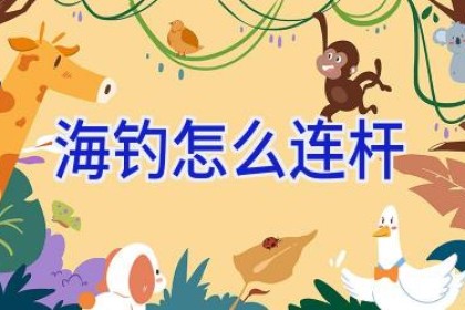 海钓怎么连杆