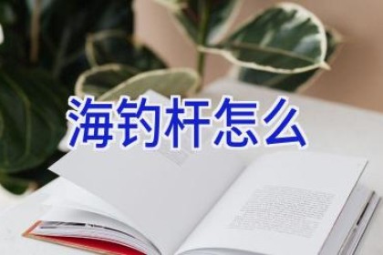 海钓杆怎么