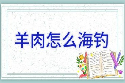 羊肉怎么海钓