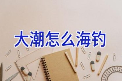 大潮怎么海钓