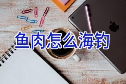 鱼肉怎么海钓