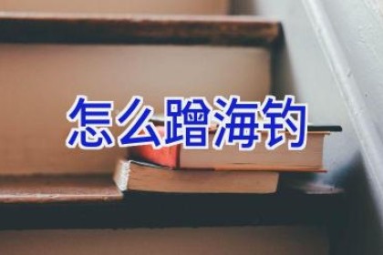 怎么蹭海钓