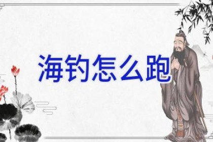 海钓怎么跑