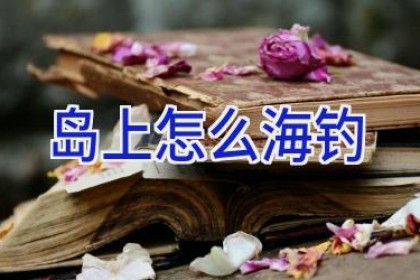 岛上怎么海钓