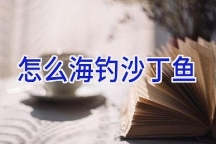 怎么海钓沙丁鱼
