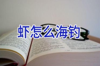 虾怎么海钓