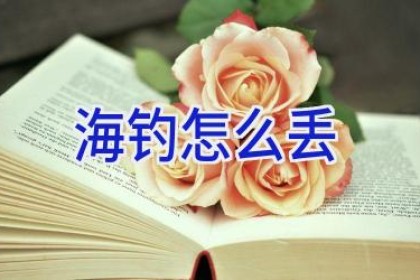 海钓怎么丢