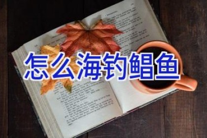 怎么海钓鲳鱼