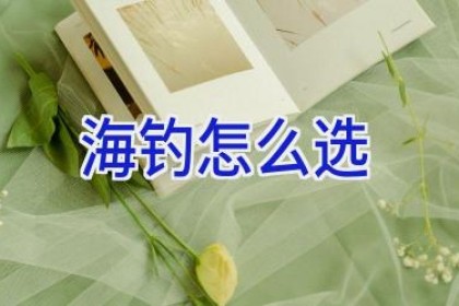 海钓怎么选