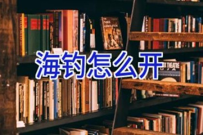 海钓怎么开