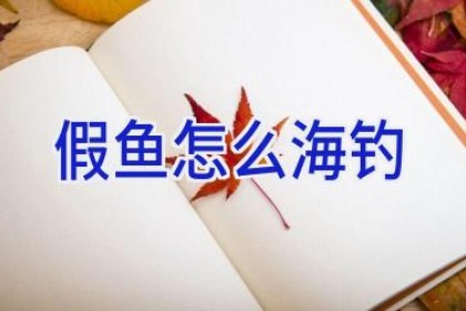 假鱼怎么海钓