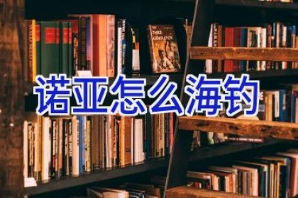 诺亚怎么海钓
