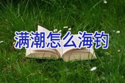 满潮怎么海钓