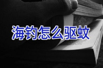 海钓怎么驱蚊