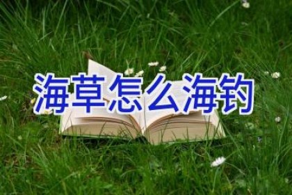 海草怎么海钓