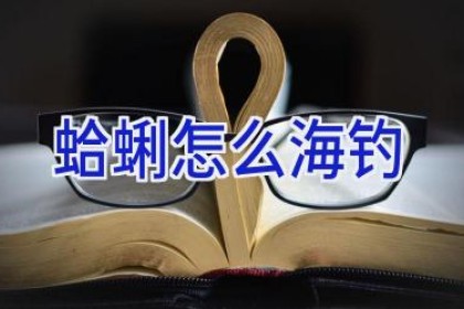 蛤蜊怎么海钓