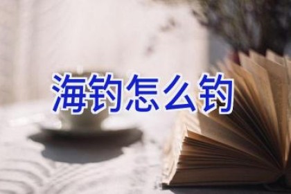 海钓 怎么钓