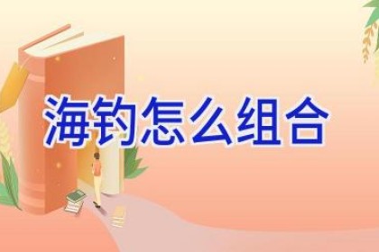 海钓怎么组合