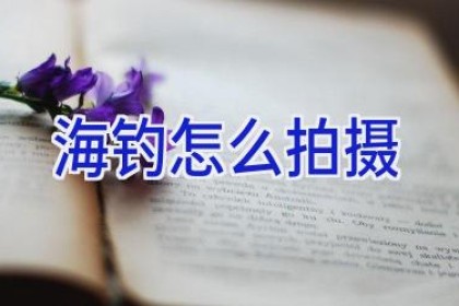 海钓怎么拍摄