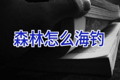 森林怎么海钓