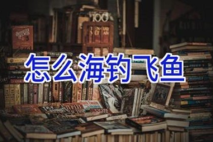 怎么海钓飞鱼