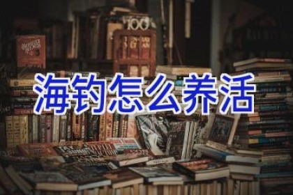 海钓怎么养活