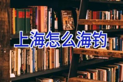 上海 怎么海钓