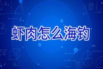 虾肉怎么海钓
