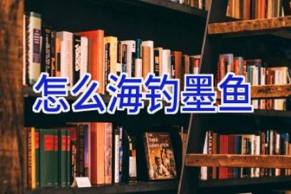 怎么海钓墨鱼