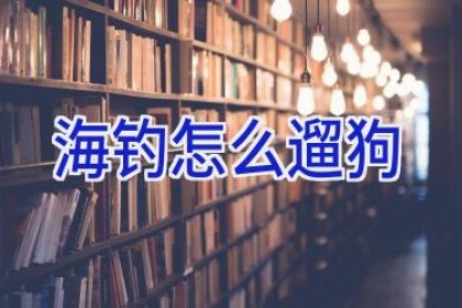 海钓怎么遛狗
