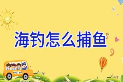 海钓怎么捕鱼