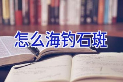 怎么海钓石斑