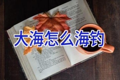 大海怎么海钓