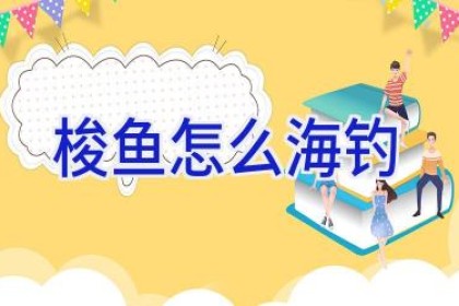 梭鱼怎么海钓