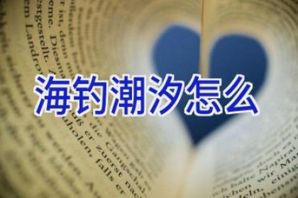 海钓潮汐怎么
