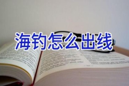 海钓怎么出线