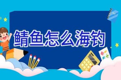 鲭鱼怎么海钓