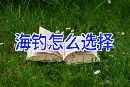 海钓怎么选择