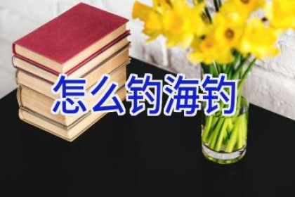 怎么钓海钓