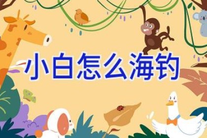 小白怎么海钓