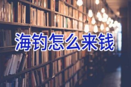 海钓怎么来钱