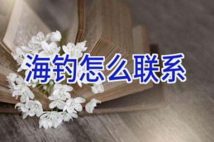 海钓怎么联系