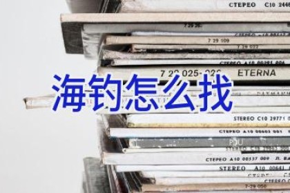 海钓怎么找
