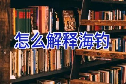 怎么解释海钓