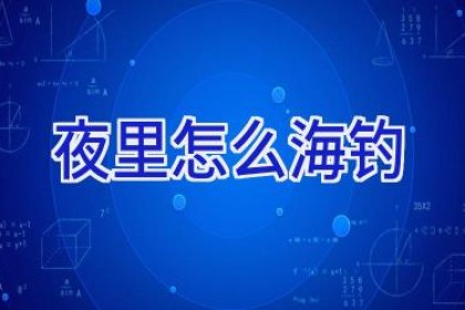 夜里怎么海钓