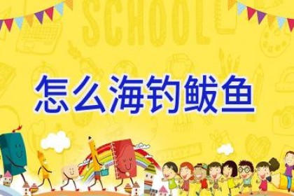 怎么海钓鲅鱼